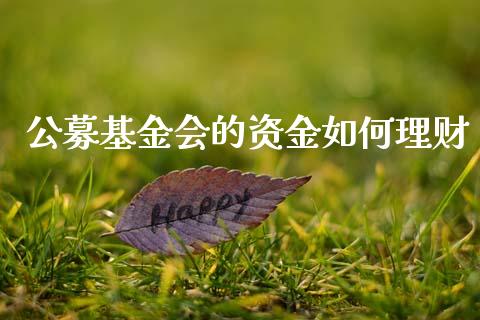 公募基金会的资金如何理财_https://www.qdlswl.com_基金_第1张