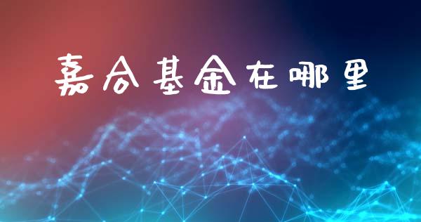 嘉合基金在哪里_https://www.qdlswl.com_内盘_第1张