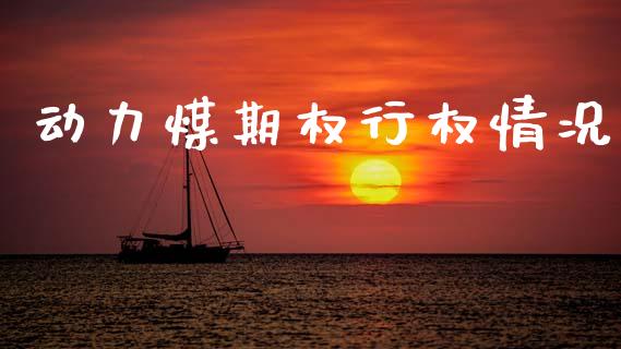 动力煤期权行权情况_https://www.qdlswl.com_股指_第1张