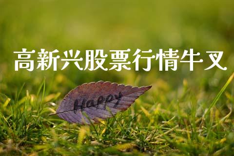 高新兴股票行情牛叉_https://www.qdlswl.com_内盘_第1张