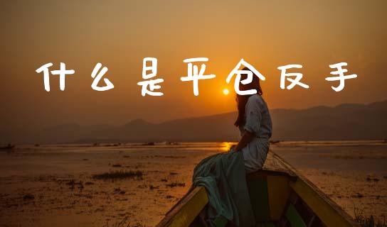 什么是平仓反手_期货_第1张_青岛财经网 什么是平仓反手_https://www.qdlswl.com_期货_第1张
