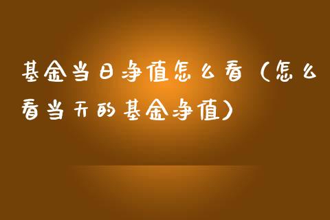 基金当日净值怎么看（怎么看当天的基金净值）_https://www.qdlswl.com_基金_第1张