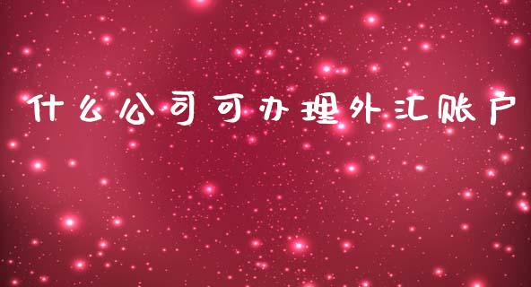 什么公司可办理外汇账户_https://www.qdlswl.com_基金_第1张