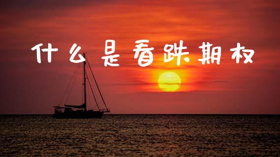 什么是看跌期权_https://www.qdlswl.com_基金_第1张