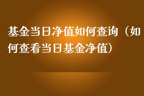 基金当日净值如何查询（如何查看当日基金净值）_https://www.qdlswl.com_基金_第1张