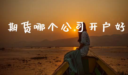 期货哪个公司开户好_https://www.qdlswl.com_股票_第1张