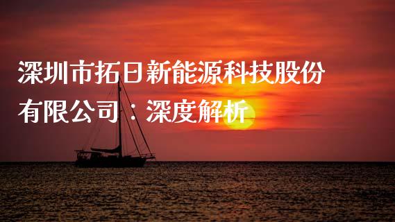 深圳市拓日新能源科技股份有限公司：深度解析_https://www.qdlswl.com_理财_第1张