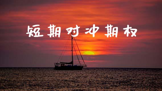 短期对冲期权_https://www.qdlswl.com_理财_第1张