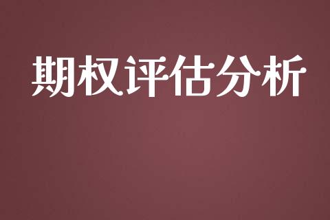 期权评估分析_https://www.qdlswl.com_基金_第1张