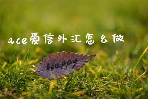 ace爱信外汇怎么做_https://www.qdlswl.com_内盘_第1张