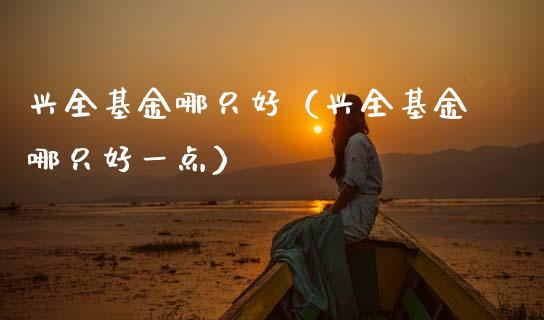 兴全基金哪只好（兴全基金哪只好一点）_https://www.qdlswl.com_基金_第1张