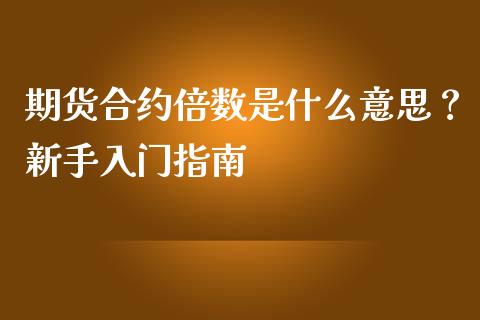 期货合约倍数是什么意思？新手入门指南_https://www.qdlswl.com_基金_第1张