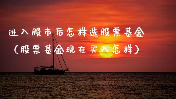 进入股市后怎样选股票基金（股票基金现在买入怎样）_https://www.qdlswl.com_基金_第1张