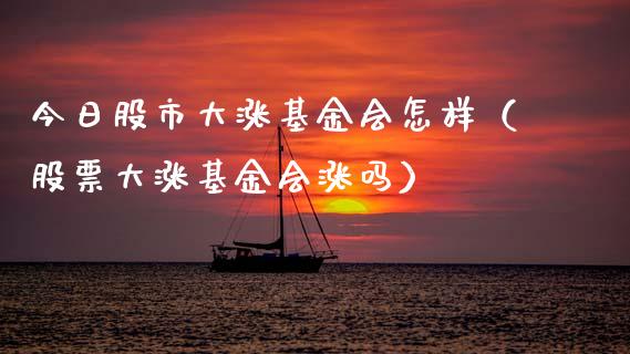 今日股市大涨基金会怎样（股票大涨基金会涨吗）_https://www.qdlswl.com_理财_第1张
