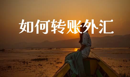 如何转账外汇_https://www.qdlswl.com_理财_第1张