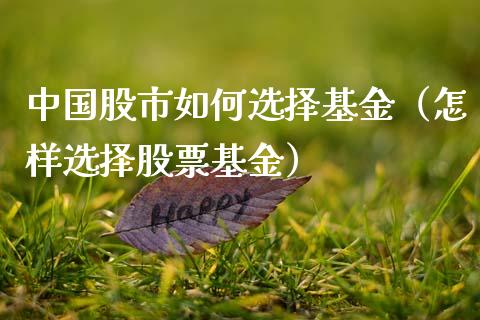 中国股市如何选择基金（怎样选择股票基金）_https://www.qdlswl.com_理财_第1张