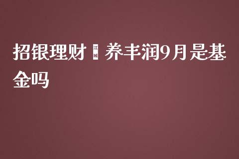 招银理财颐养丰润9月是基金吗_https://www.qdlswl.com_基金_第1张