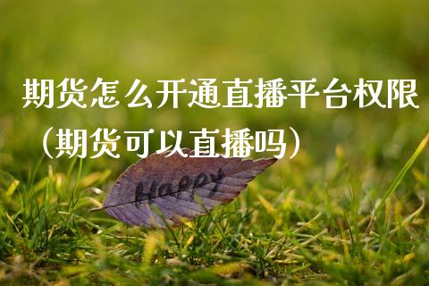 期货怎么开通直播平台权限（期货可以直播吗）_https://www.qdlswl.com_直播_第1张