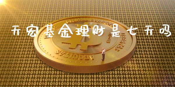 天宏基金理财是七天吗_https://www.qdlswl.com_理财_第1张