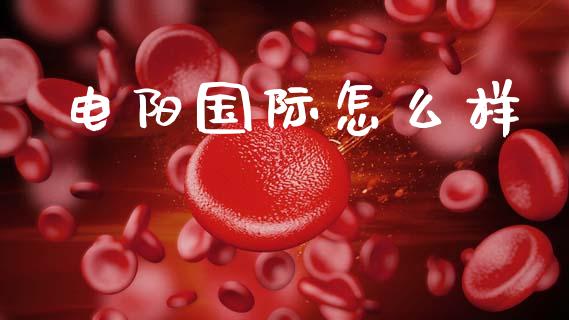 电阳国际怎么样_https://www.qdlswl.com_期货_第1张