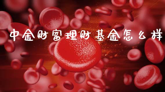 中金财富理财基金怎么样_https://www.qdlswl.com_理财_第1张