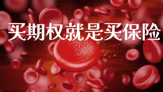 买期权就是买保险_https://www.qdlswl.com_内盘_第1张
