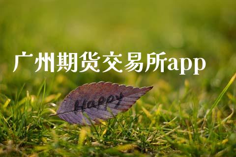广州期货交易所app_https://www.qdlswl.com_期货_第1张