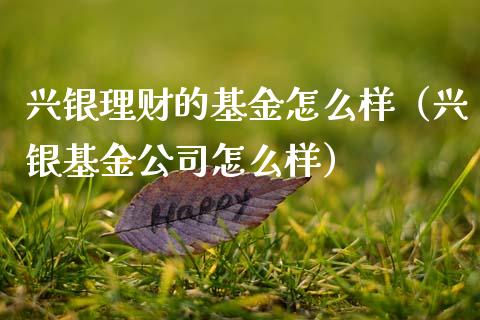 兴银理财的基金怎么样（兴银基金公司怎么样）_https://www.qdlswl.com_基金_第1张
