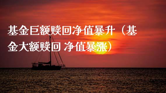基金巨额赎回净值暴升（基金大额赎回 净值暴涨）_https://www.qdlswl.com_基金_第1张