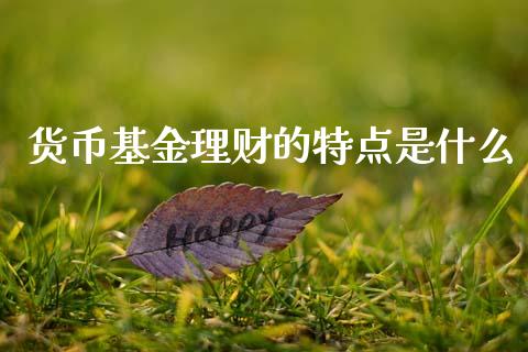 货币基金理财的特点是什么_https://www.qdlswl.com_理财_第1张