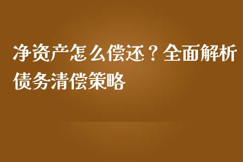 净资产怎么偿还？全面解析债务清偿策略_https://www.qdlswl.com_内盘_第1张