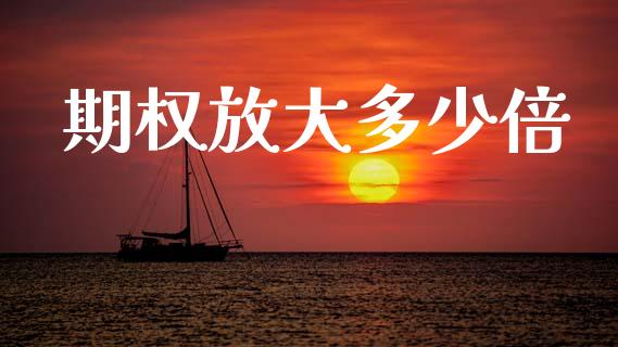 期权放大多少倍_https://www.qdlswl.com_期货_第1张