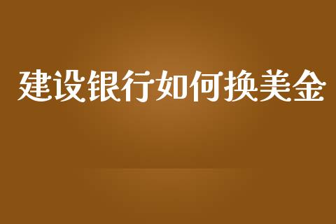 建设银行如何换美金_https://www.qdlswl.com_外盘_第1张