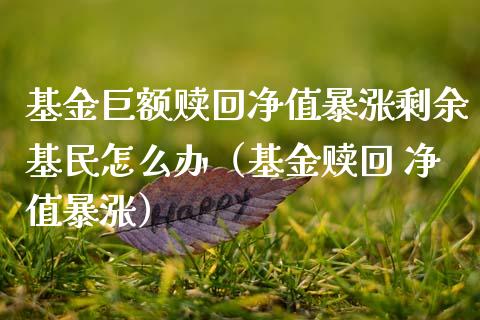 基金巨额赎回净值暴涨剩余基民怎么办（基金赎回 净值暴涨）_https://www.qdlswl.com_基金_第1张