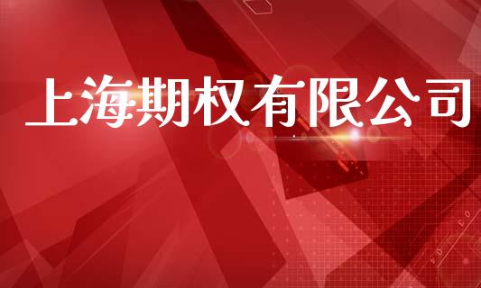 上海期权有限公司_https://www.qdlswl.com_理财_第1张