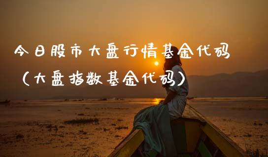 今日股市大盘行情基金代码（大盘指数基金代码）_https://www.qdlswl.com_理财_第1张