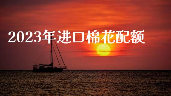 2023年进口棉花配额_https://www.qdlswl.com_期货_第1张