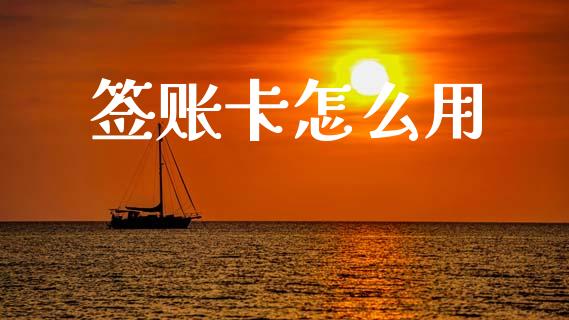 签账卡怎么用_https://www.qdlswl.com_内盘_第1张