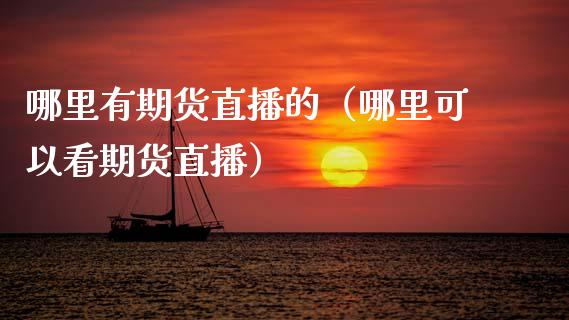 哪里有期货直播的（哪里可以看期货直播）_https://www.qdlswl.com_直播_第1张