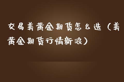 交易美黄金期货怎么选（美黄金期货行情新浪）_https://www.qdlswl.com_期货_第1张