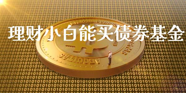 理财小白能买债券基金_https://www.qdlswl.com_理财_第1张