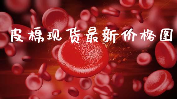皮棉现货最新价格图_https://www.qdlswl.com_期货_第1张
