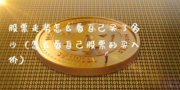 股票走势怎么看自己买了多少（怎么看自己股票的买入价）_https://www.qdlswl.com_内盘_第1张