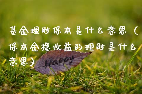 基金理财保本是什么意思（保本金稳收益的理财是什么意思）_https://www.qdlswl.com_基金_第1张