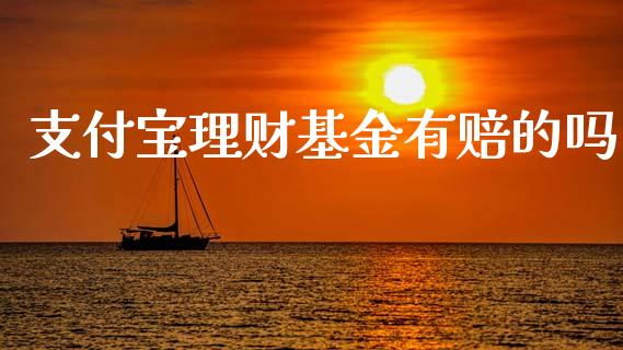支付宝理财基金有赔的吗_https://www.qdlswl.com_理财_第1张