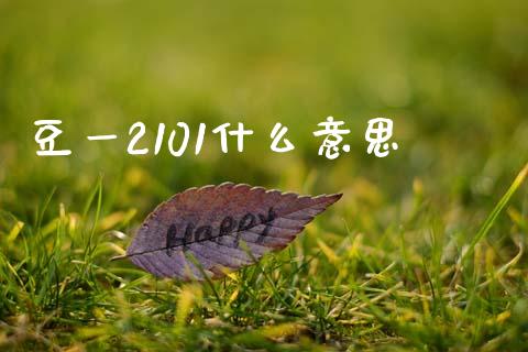 豆一2101什么意思_https://www.qdlswl.com_理财_第1张