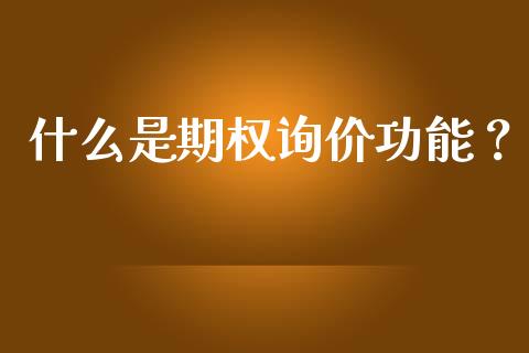 什么是期权询价功能？_https://www.qdlswl.com_理财_第1张
