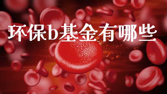 环保b基金有哪些_https://www.qdlswl.com_理财_第1张