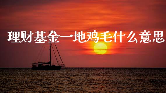 理财基金一地鸡毛什么意思_https://www.qdlswl.com_基金_第1张