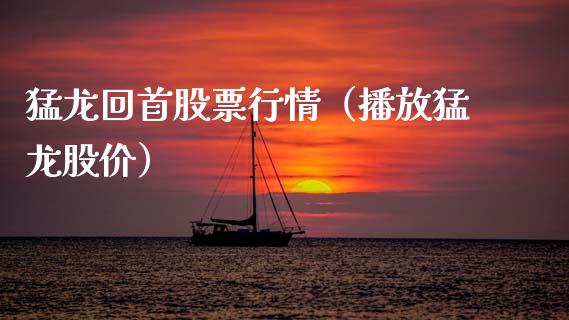 猛龙回首股票行情（播放猛龙股价）_https://www.qdlswl.com_内盘_第1张